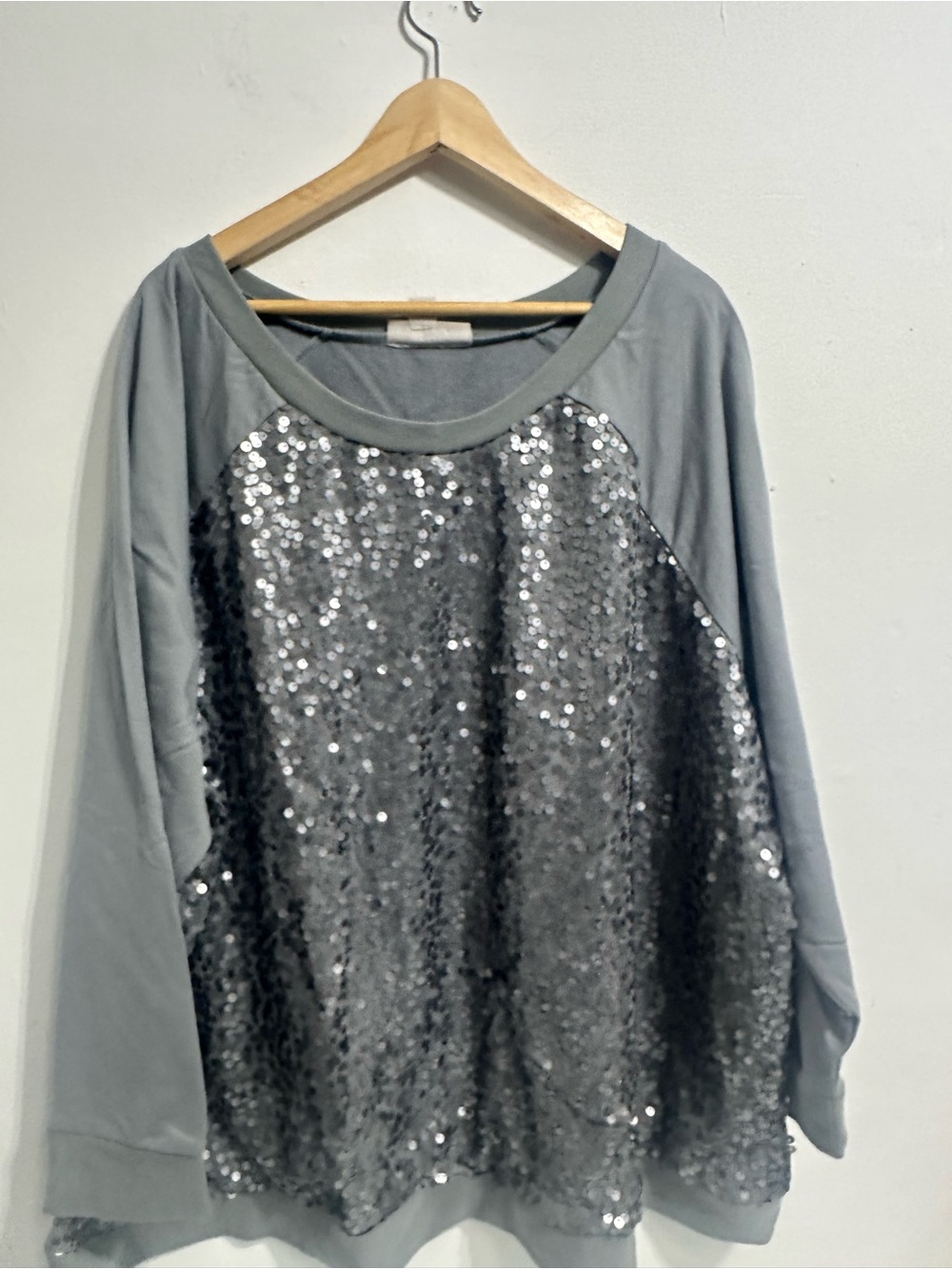Woman Within Silver Sequin Front Gray Sweatshirt